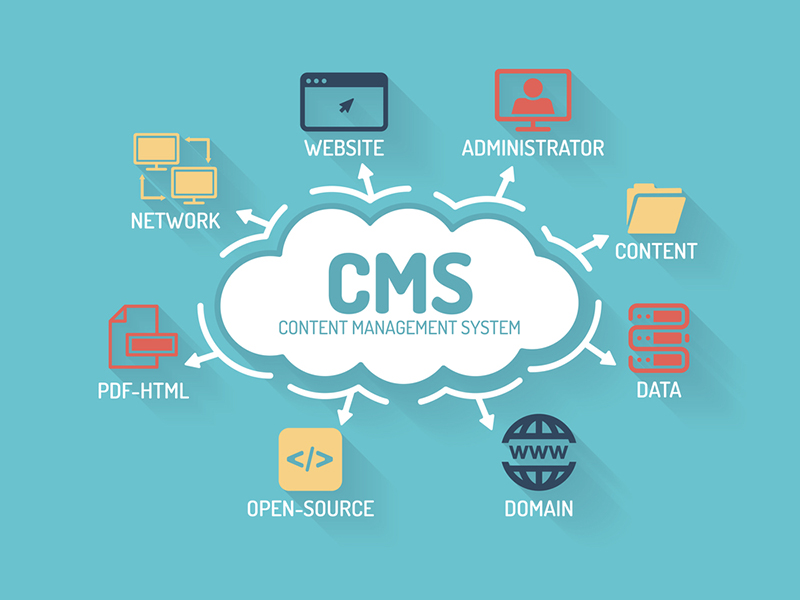 Custom CMS Development Services in Dallas TX - Scalable Content Management Solutions